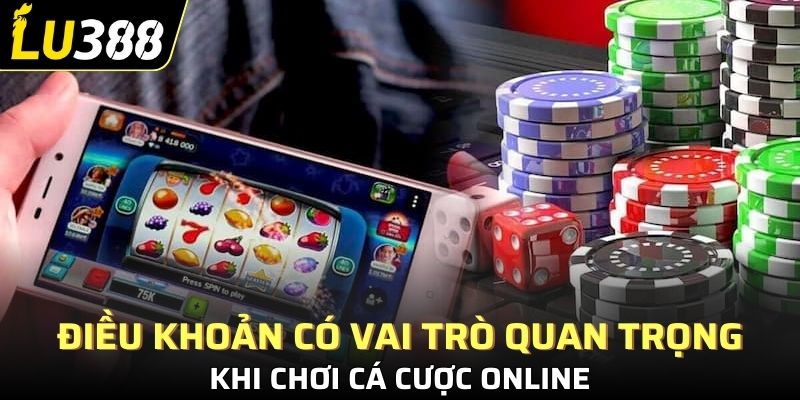 Điều khoản có vai trò quan trọng khi chơi cá cược online
