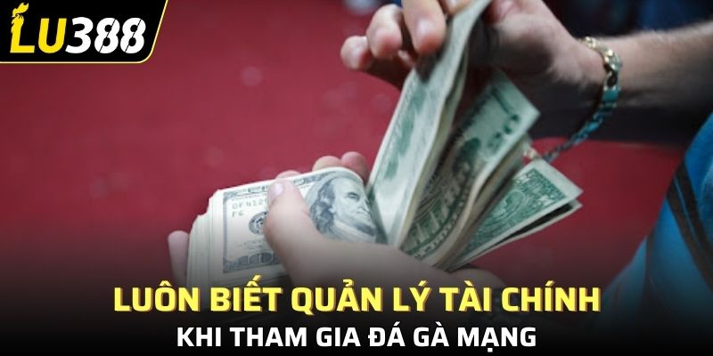Luôn biết quản lý tài chính khi tham gia đá gà mạng