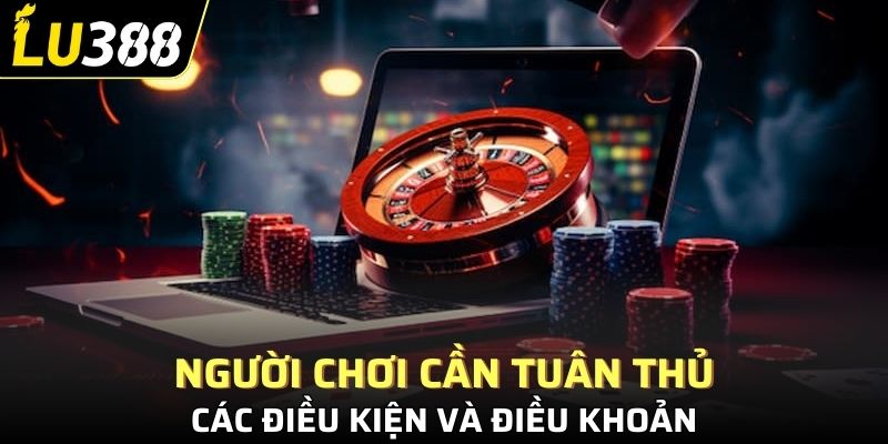 Người chơi cần tuân thủ các điều kiện và điều khoản như độ tuổi, bảo mật